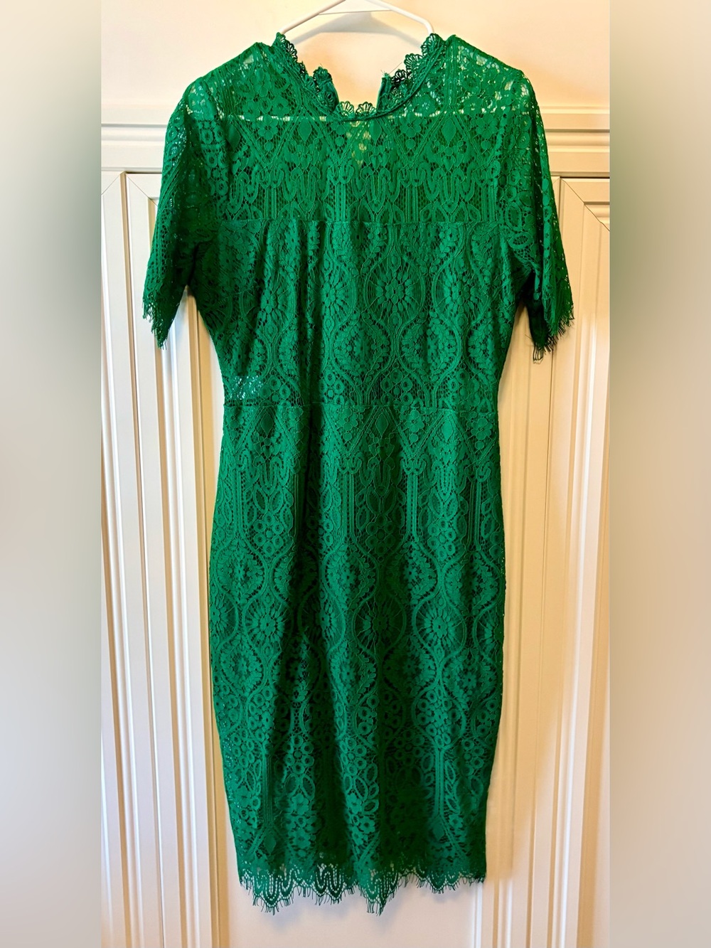 🟢 LULUS REMARKABLE GREEN SHEER LACE SHORT SLEEVE MINI DRESS - SIZE LARGE - NEW 🟢 - Picture 3 of 10